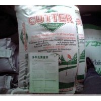 湖北黑麥草草種