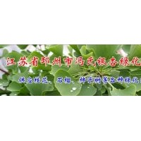 長(zhǎng)期供應(yīng)2-80公分銀杏實(shí)生樹-嫁接樹，法桐，石榴，桂花等綠化苗