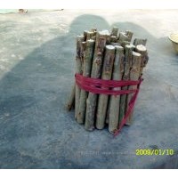 供108速生楊，千頭椿,臭椿,白臘,合歡,柳樹,毛白楊