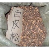 白皮松種子，白皮松種子，白皮松種子，白皮松種子，白皮松種子價(jià)