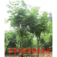 現(xiàn)貨低價供應 白臘 造型和全冠 各種規(guī)格