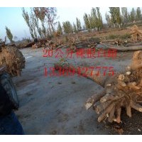 供應(yīng)6-30公分白蠟