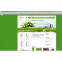 常年低價(jià)現(xiàn)貨供應(yīng)豐花月季、海桐，紫荊、紫薇、紅葉李、國(guó)槐，龍