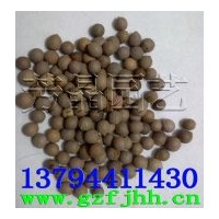 供應(yīng)印度檀香種子,小葉紫檀種子,印度黃檀種子,柚木種子,印度紫檀