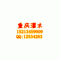重慶常年供應(yīng)各種喬木、灌木：紅葉石楠、金葉女貞、紅繼木、南天