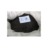 供應(yīng)【國槐種子||國槐種子||國槐種子||國槐種子||國槐種子】