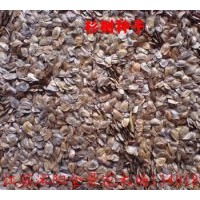 供應(yīng)：杉樹(shù)種子，紅葉石楠種子,欒樹(shù)種子，藍(lán)花楹種子，紅花紫薇