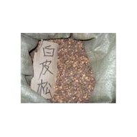 長(zhǎng)期供應(yīng)白皮松種籽、油松種籽、側(cè)柏種籽、華山松種籽、樟子松種