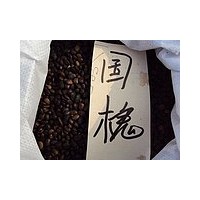 常年出售花卉苗木種子：紅豆杉種子，漆樹種子