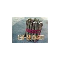 椿樹苗.毛白楊苗.１０７.白蠟苗柳樹.法桐.合歡--