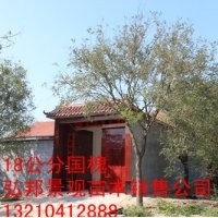 供應(yīng)1-30公分國槐，白蠟, 垂柳, 各種小苗和一級(jí)樹