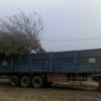 供應(yīng)5到30白蠟