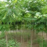 供應(yīng)各種規(guī)格火炬 2-15公分火炬 量大價(jià)低