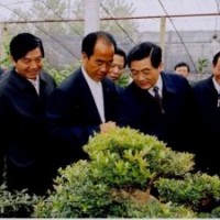 紅梅、臘梅、多分枝臘梅、美人梅、榆葉梅