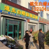 山東速生白蠟/速生國槐/惠民白蠟小苗及半成品