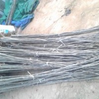 山東速生白蠟秋悶子