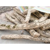 供應曼地亞紅豆杉，櫻花，桂花，銀杏大小苗，盆景，瓜子黃楊