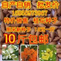 供應(yīng)金葉女貞，衛(wèi)矛，紅葉小檗，紫薇，黃楊等綠化苗木