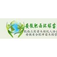 安徽苗木香樟,桂花,紅葉李