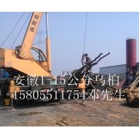 安徽肥西供應(yīng)2-3-4-5-6-8-10公分全冠烏桕，截桿烏桕，烏桕小苗價(jià)