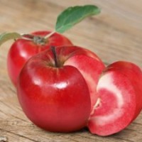 紅肉蘋(píng)果苗