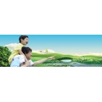 北美海棠樹(shù)苗價(jià)格