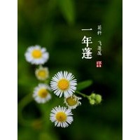 紅葉李 國槐 皂角 櫻花 大葉女貞