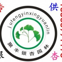 最佳銀杏苗木合作伙伴