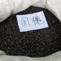 供應國槐，北欒，五角楓，南欒，絲綿木，清風等等