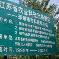 錦繡銀杏苗木銷售中心