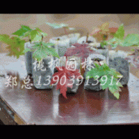 大量供應(yīng)美國(guó)紅楓，量大從優(yōu)！