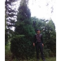 緊急出售3.5-5米的北京儈柏