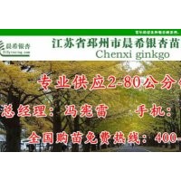 銀杏砧板，銀杏切菜板價(jià)格