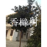 張家港地區(qū)供應(yīng)