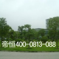 優(yōu)質(zhì)苗木供應(yīng)香樟,秋楓,紅果冬青