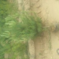 陜西榆林出售1米及1米以下1.2米1.3米1.5米2米2.5米3米3.5米以上