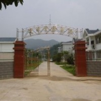 油茶苗價(jià)格