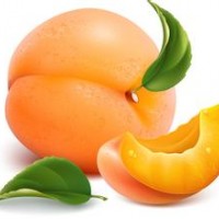 供應(yīng)優(yōu)質(zhì)桃樹苗、黃桃苗、黃金桃苗