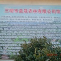 益晟農(nóng)林供應(yīng)40多種各類綠化苗木