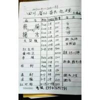 ：供應(yīng)珍貴名木金絲楠木，楨楠，紅豆杉，曼地亞，香樟，樸樹，皂