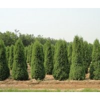 供應(yīng)1米2米3米4米蜀儈價(jià)格