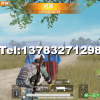 紅葉石楠大杯苗和紅葉石楠球